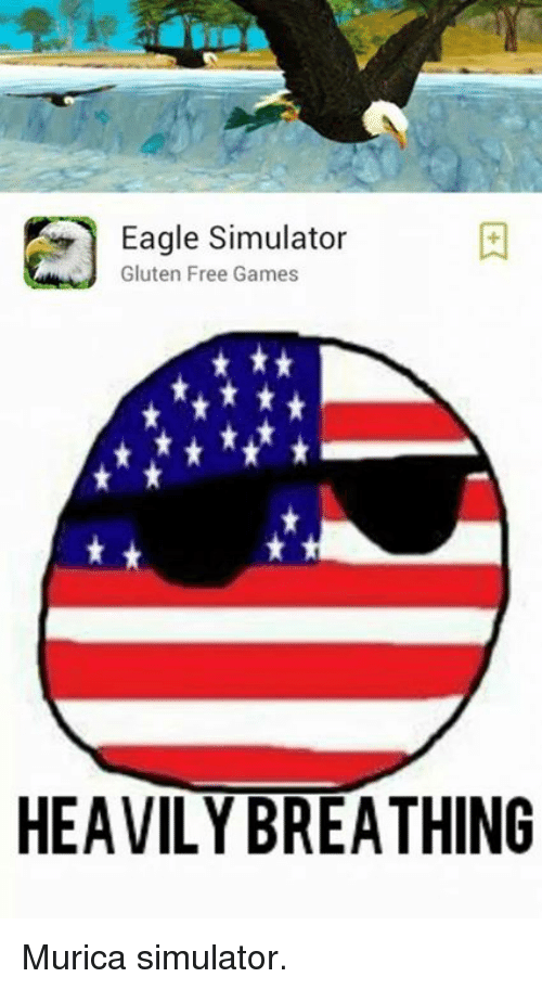 Eagle Simulator Games